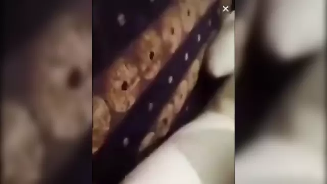سکس ترکی با سلطان احمد و یه خانوم داغ